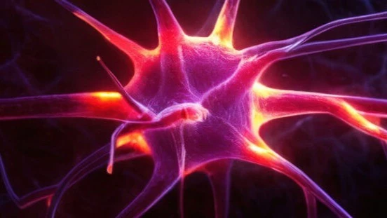 Illustration of a neuron with branching processes.