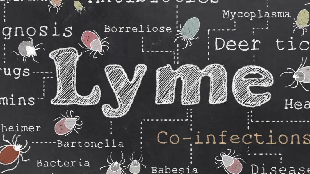 Lyme disease word graphic including deer tick and related terms.